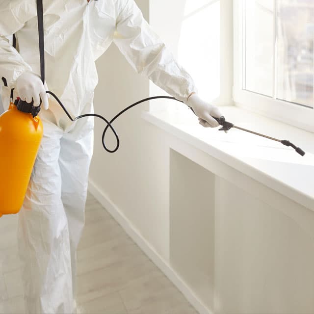 Solicita nuestros servicios de control de plagas en Lugo